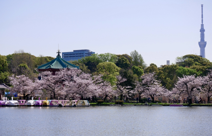 東京都の人気観光スポット　上野恩賜公園